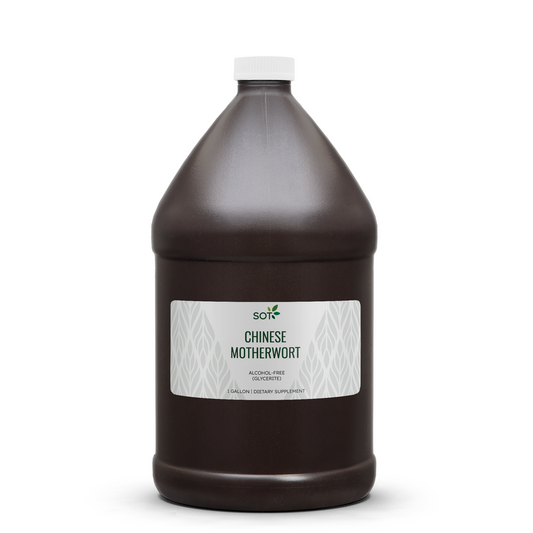 Chinese Motherwort Gallon