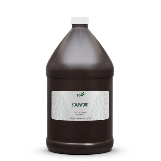 Soapwort Gallon