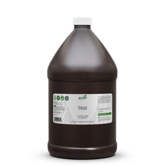 Thuja Gallon